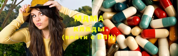 шишки Богородицк