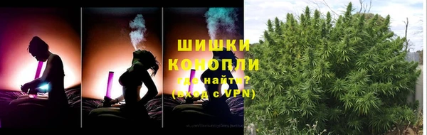 шишки Богородицк