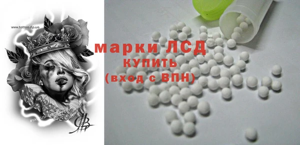 шишки Богородицк