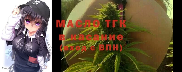 шишки Богородицк