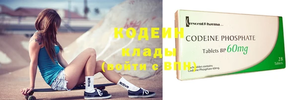 шишки Богородицк