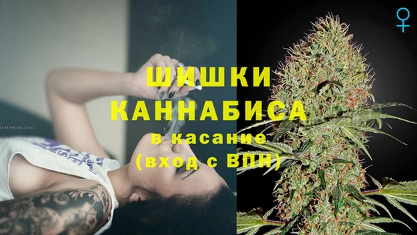 шишки Богородицк