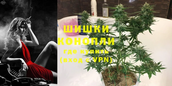 шишки Богородицк