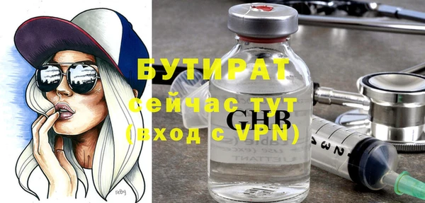 шишки Богородицк