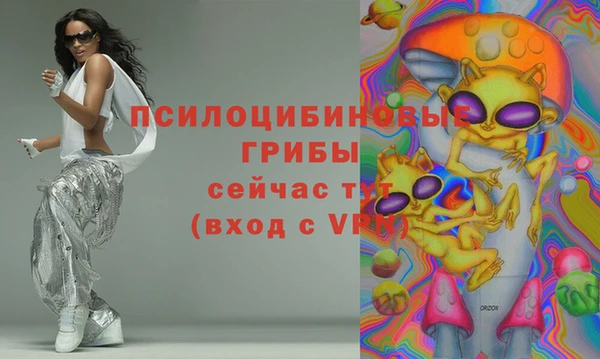 соль курить ск Богданович