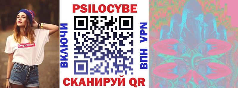 гидра ТОР  Бобров  Псилоцибиновые грибы Psilocybe 